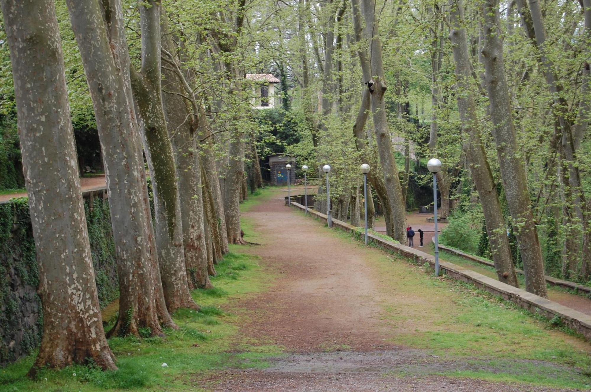 El Solell De L'Avia Villa Olot Eksteriør bilde